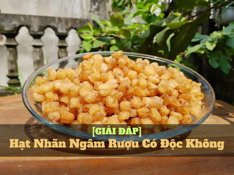 hạt nhãn ngâm rượu có độc không