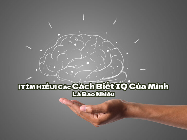 cách biết IQ của mình