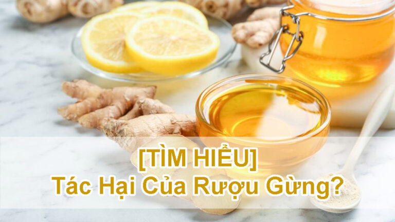 uống rượu gừng có tác dụng gì