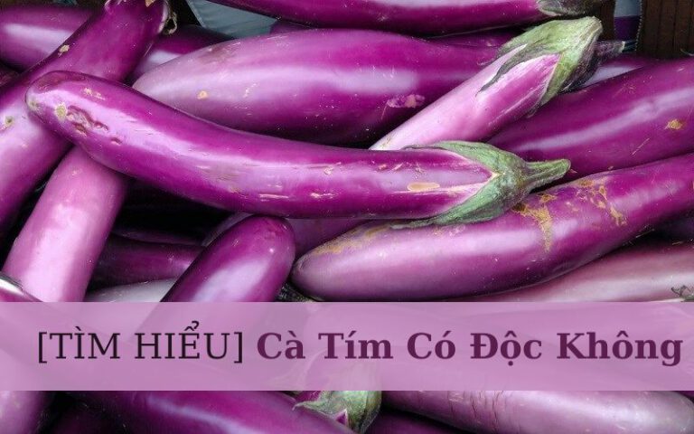 cà tím có độc không