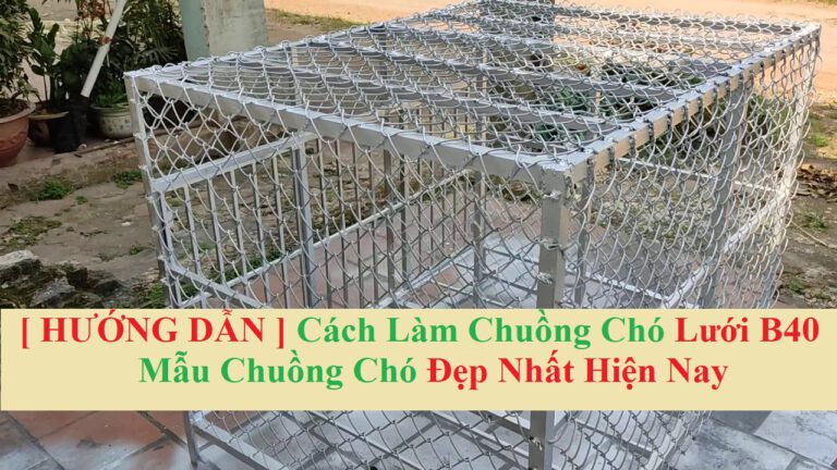 Cách làm chuồng chó lưới b40