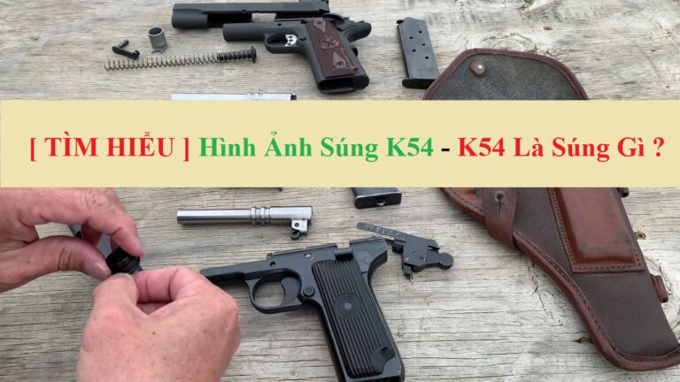 Hình ảnh súng k54